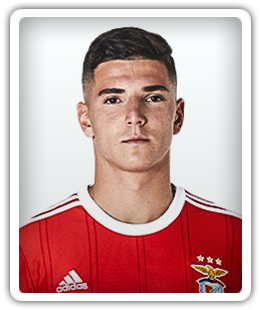 Martim Neto