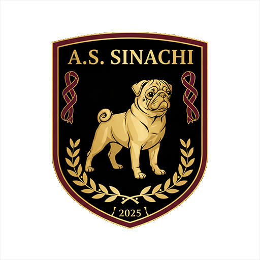 A.S SINACHI